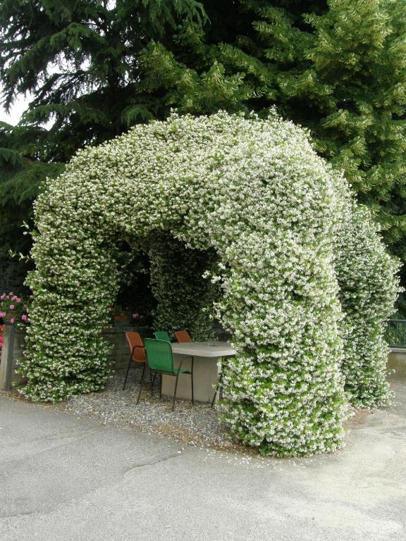 Albergo Ristorante La Scaiola Nuvolera Kültér fotó